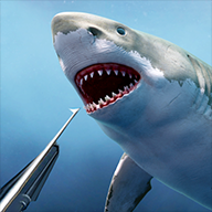 官方：坎塞洛对阵贝蒂斯的进球当选西甲9月最佳进球